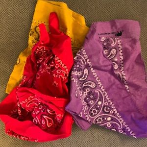 Set of 3 Bandannas
